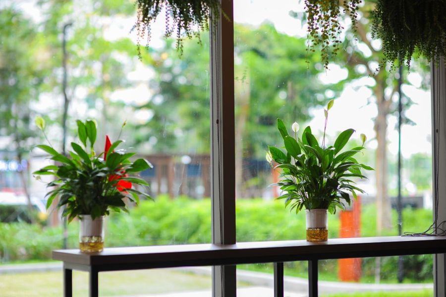 Công trình thực tế – hình ảnh minh họa